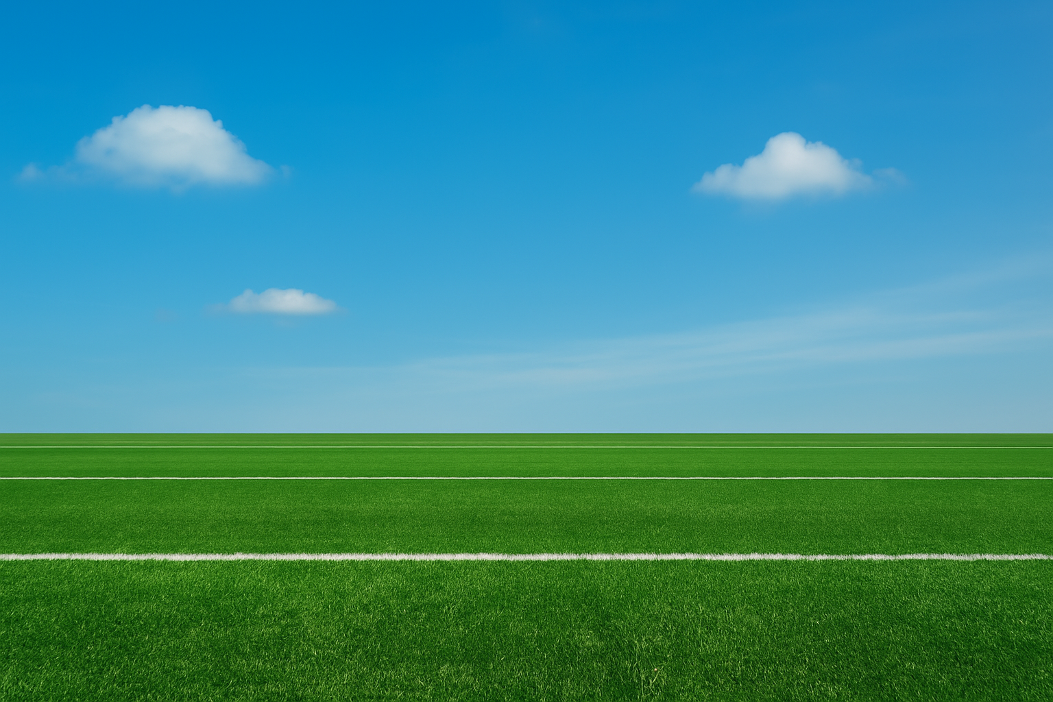 Campo de rugby